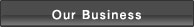 Our Business