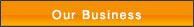 Our Business