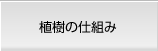 植樹の仕組み