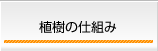 植樹の仕組み